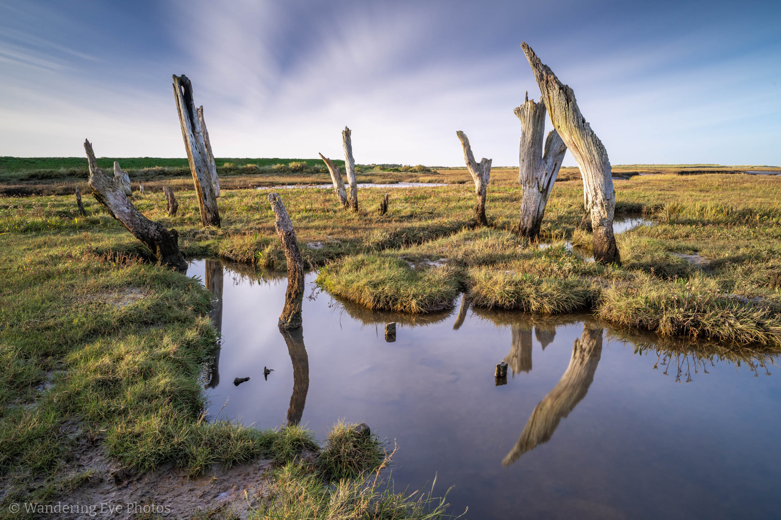 11.17 15.33.46   DSC00603